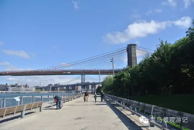Pier 1的滨水步道：一睹曼哈顿天际线和布鲁克林大桥的绝佳地点1.webp.jpg