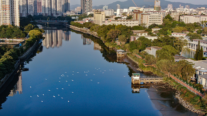 广州市第7号总河长令要求确保石井河口省考断面2020年达到V类水标准.-800png.png