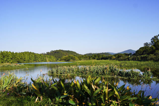 如今的共成河早已脱去黑臭水体的“旧衣”，换上了山清水秀的“新颜”。