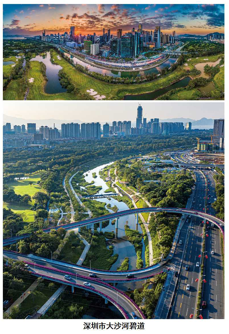 大沙河碧道.jpg