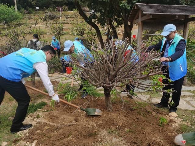 珠澳两地水务人同植“护水林”，共同守护清澈饮用水。 