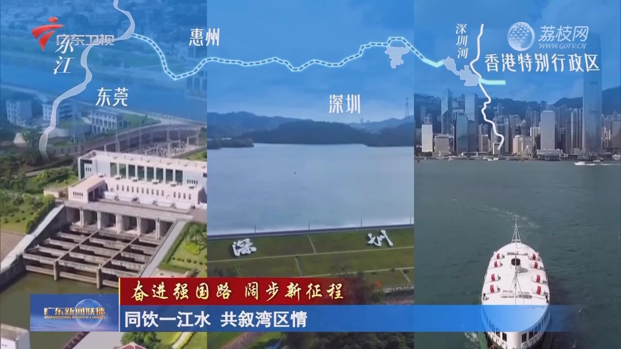 同饮一江水 共叙湾区情